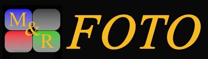 logo7x2
